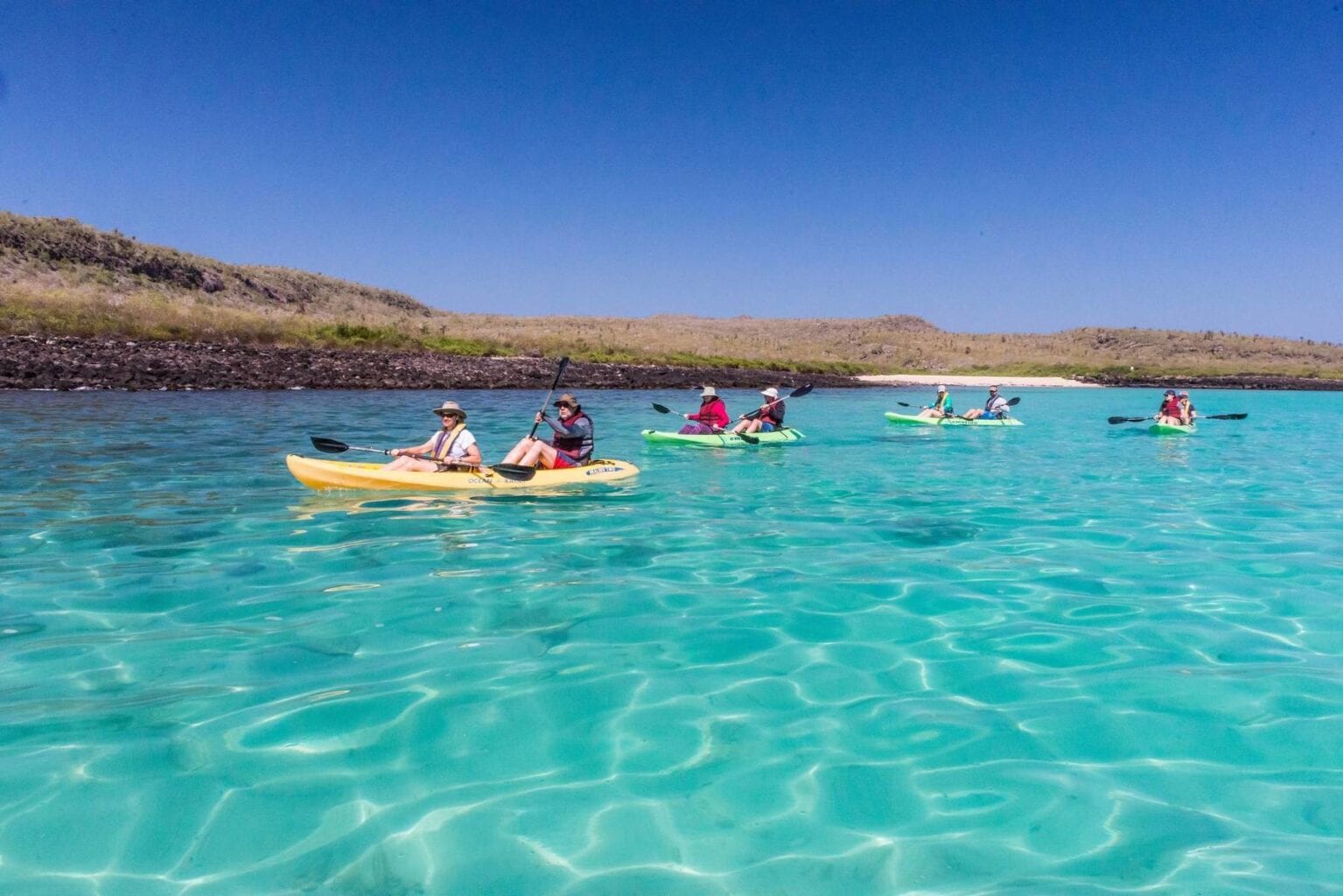 A group of kayakers paddle in turquoise water near Santa Fe in the Galapagos.