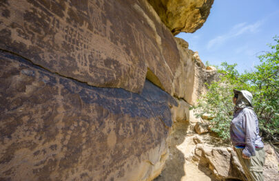 A guest looks at ancient petroglyphs carved in a stone wall on a Desolation Canyon trip
