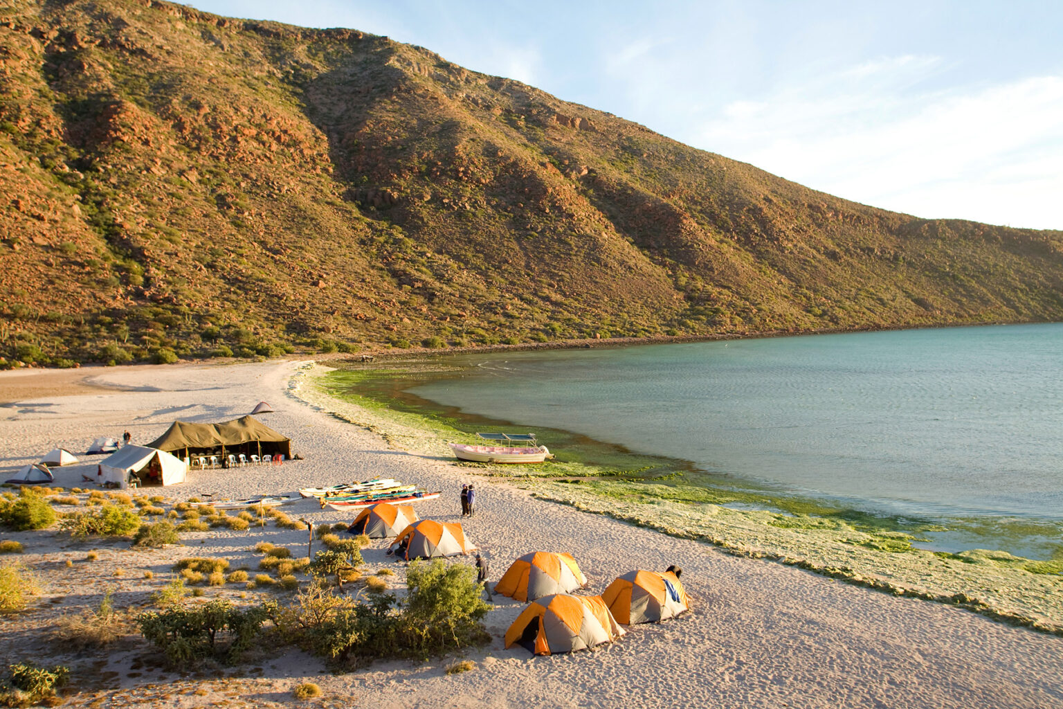 View from above of camp set up on the beach next to the ocean on a Sea Kayaking Espiritu Santo Island trip in Baja Mexico