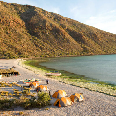View from above of camp set up on the beach next to the ocean on a Sea Kayaking Espiritu Santo Island trip in Baja Mexico