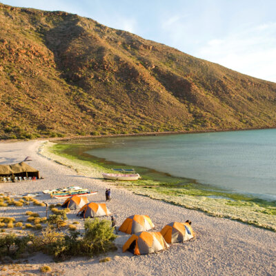 View from above of camp set up on the beach next to the ocean on a Sea Kayaking Espiritu Santo Island trip in Baja Mexico