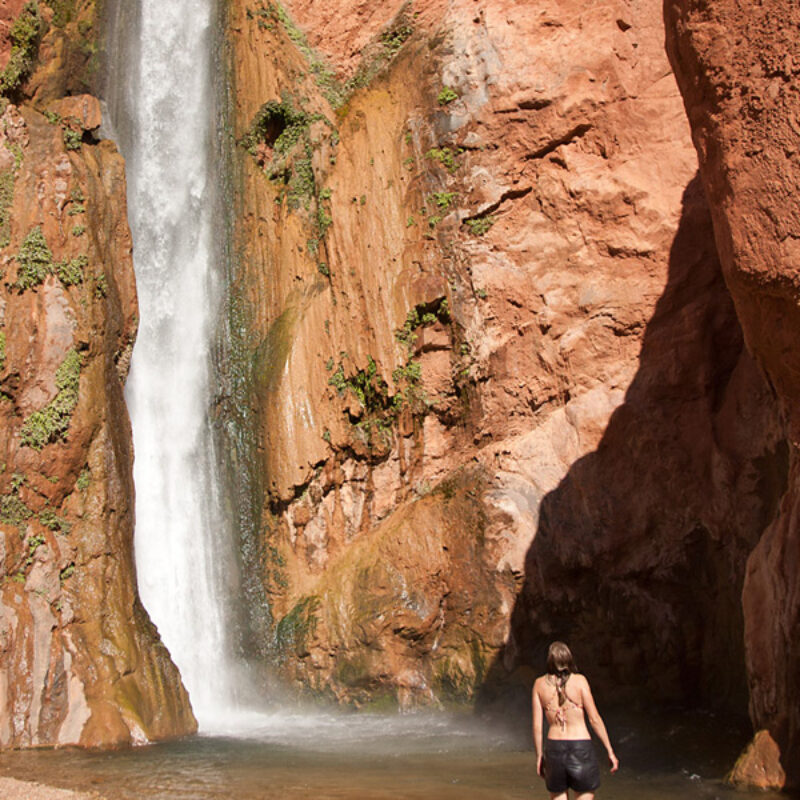 A woman stands in the pool at the bottom of Deer Creek Falls and looks up at the waterfall in Grand Canyon
