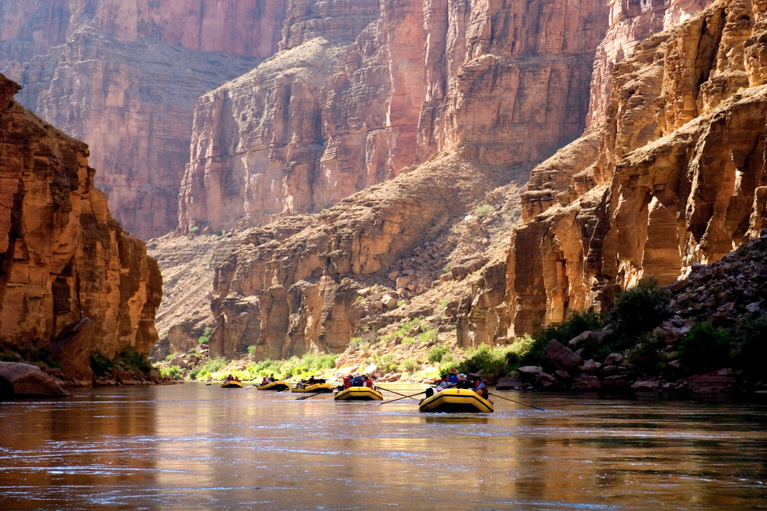 Five yellow OARS rafts float single file down the Colorado River through Grand Canyon
