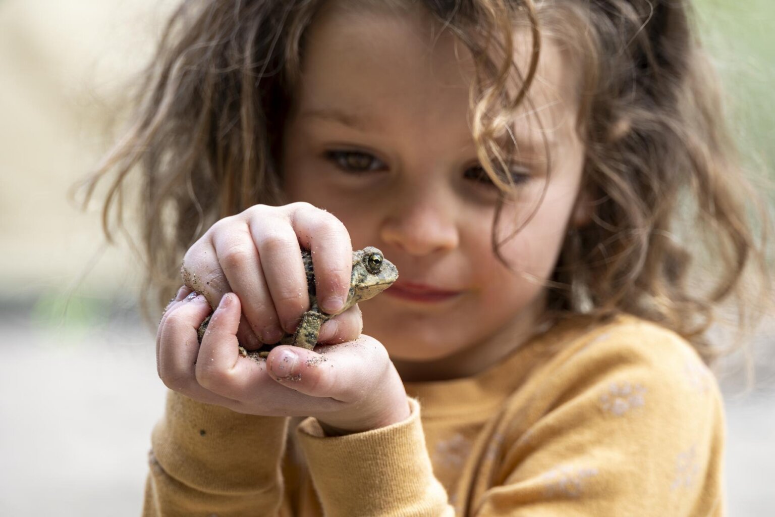 A girl holds a toad she caught on the Klamath River during an OARS rafting trip.