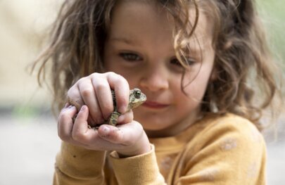 A girl holds a toad she caught on the Klamath River during an OARS rafting trip.