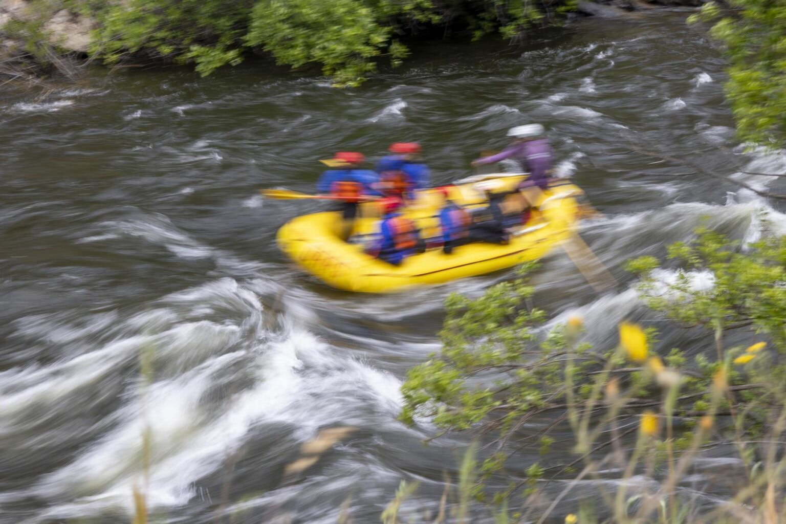 A yellow OARS rafts races by during a rafting trip on the Merced River in May 2025.