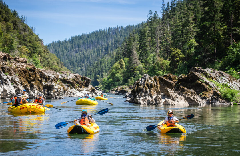 A group on yellow rafts and inflatable kayaks floats on the Rogue River in Oregon during an OARS rafting trip in 2025.