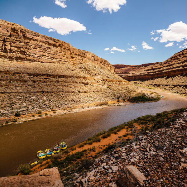 A view from above of several yellow rafts tied up at shore on the San Juan River in a desert canyon.