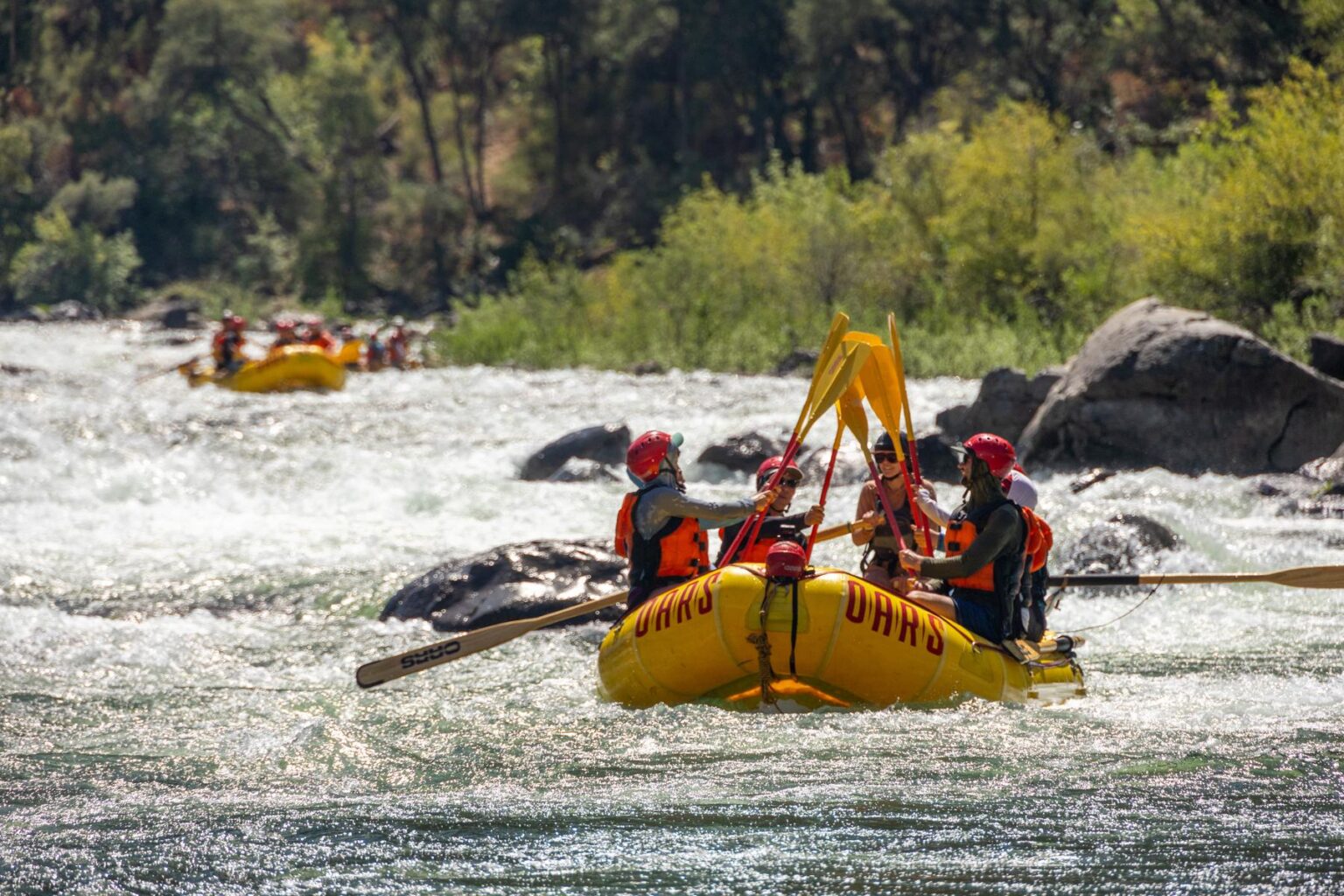 Celebrating after rafting a rapid on the Tuolumne River