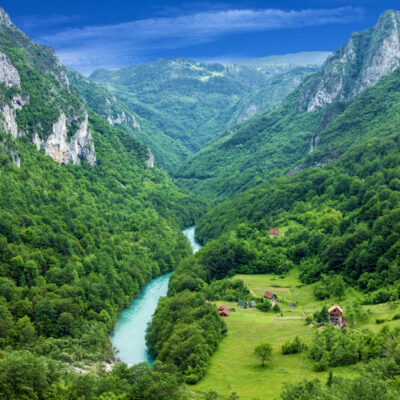 Scenic arial shot of a river through lush rainforest in Croatia