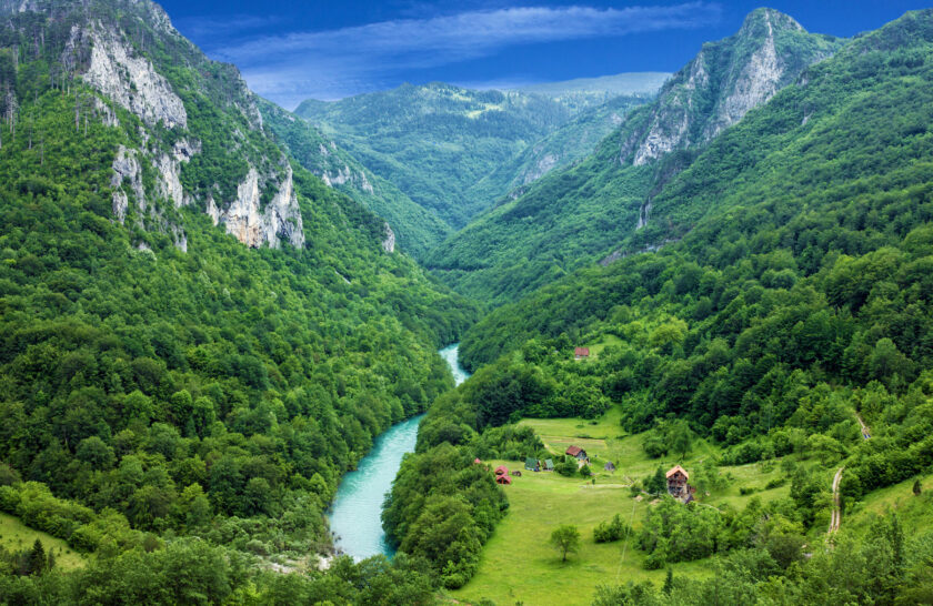 Scenic arial shot of a river through lush rainforest in Croatia