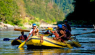 Guests in yellow rafts and inflatable kayaks paddle down the Rogue River.