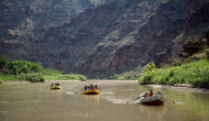 Two yellow rafts and a dory make their way downriver on an OARS John Wesley Powell Retrace trip