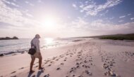 A person walks along a quiet beach in the Galapagos at sunset, leaving footprints in the soft sand, with gentle waves lapping at the shore.