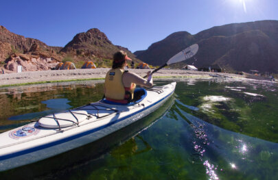 A kayaker paddles back to the shoreline where camp is set up along the ocean.