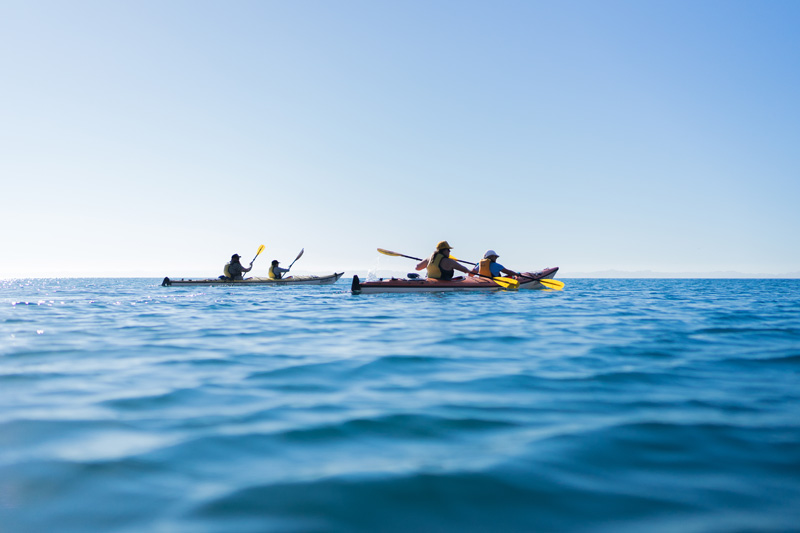 Baja sea kayaking trip to Isla Espiritu Santo 