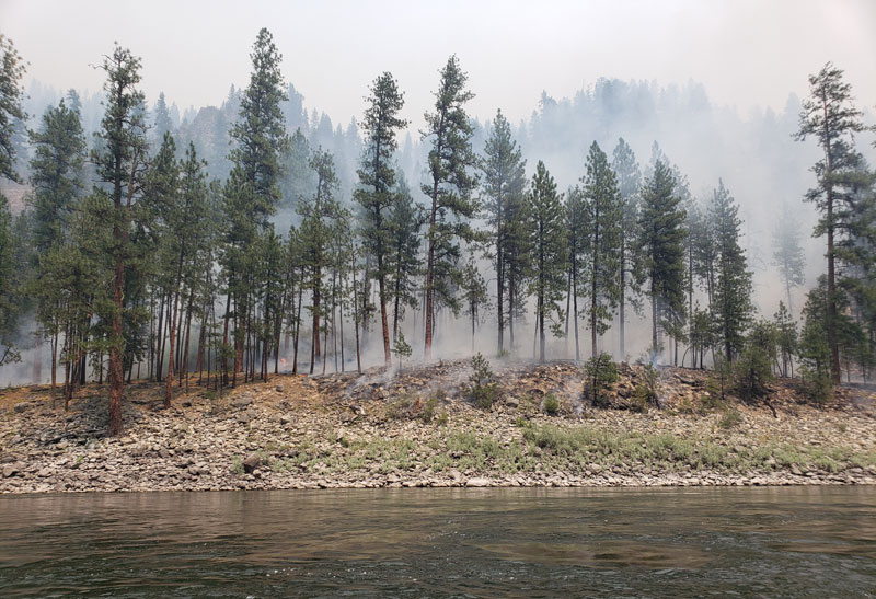 Idaho wildfire season on the Main Salmon River