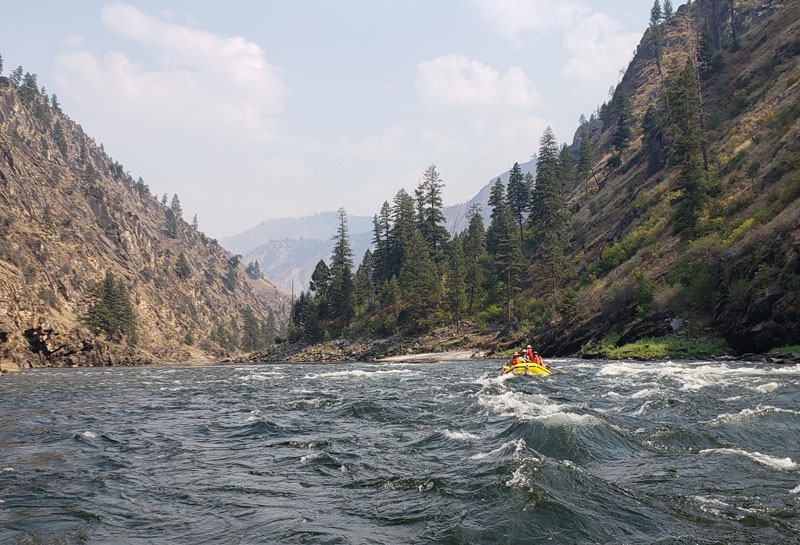 Main Salmon rafting trip