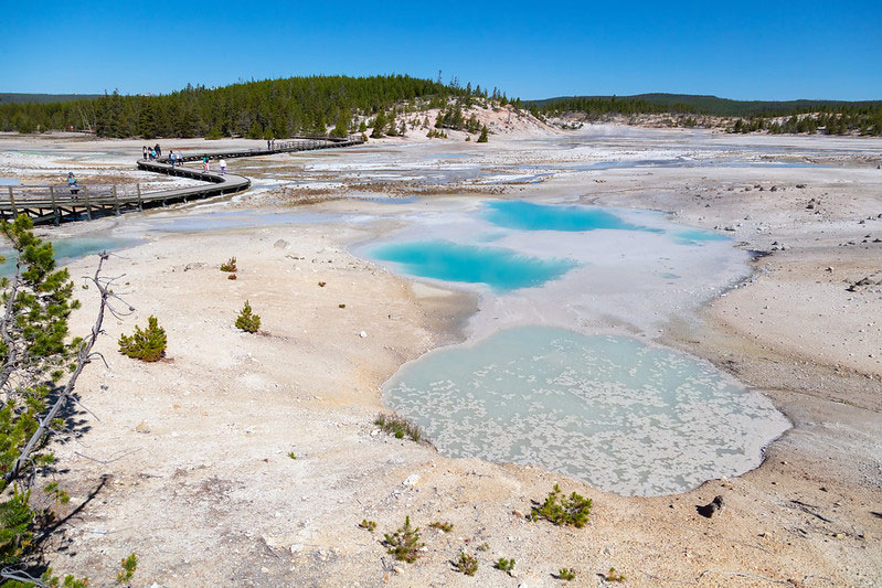 People strolling the boardwalks at Norris Geyser Basin in Yellowstone National Park