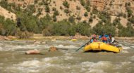 Oar raft vs. Paddle raft: What's the difference?