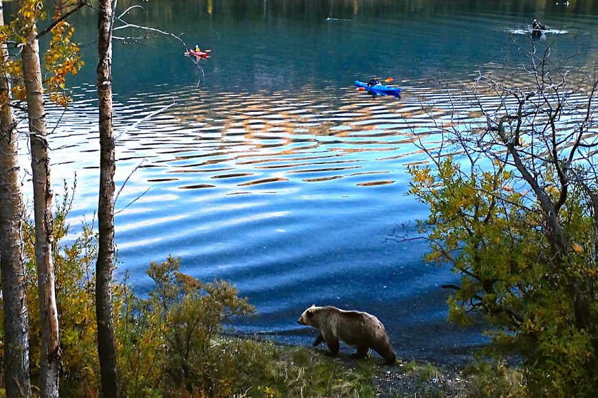 Best British Columbia Books: Discover the Pacific Northwest’s Wild Side
