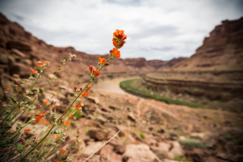 The Essential Utah Reading List: Arches & Canyonlands