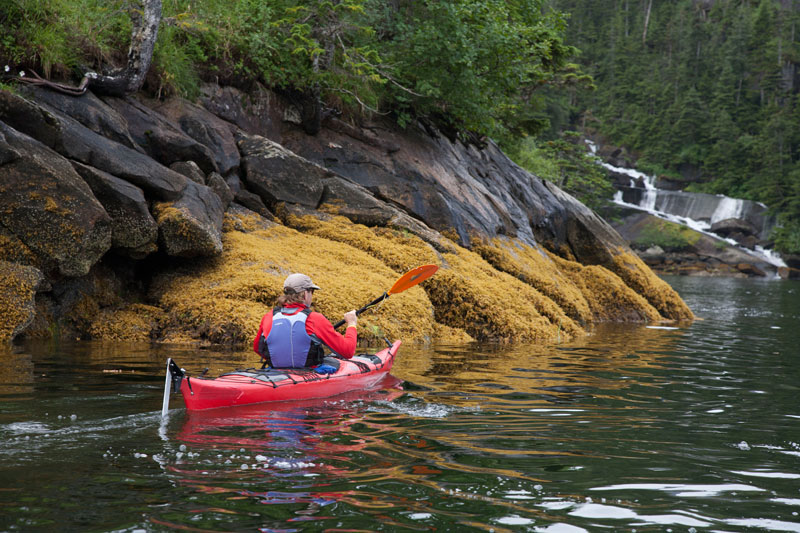 The Best National Forests for Paddlers