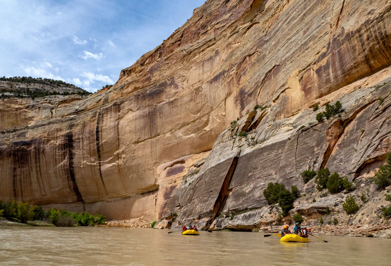 Yampa River rafting through Dinosaur National Monument