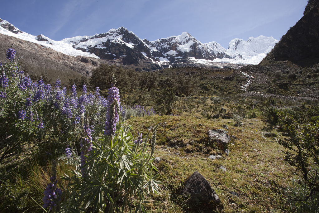 10 Must-Do Peru Adventures That Aren’t Machu Picchu | Trekking in the Cordillera Blanca | Photo: Bas Wallet / FlickrCommons