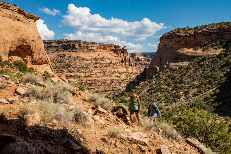 Quick guide to the different types of public lands