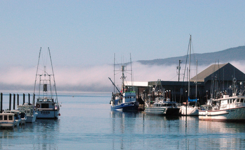 Pacific Northwest Family Adventures: Crabbing on the Garibaldi docks