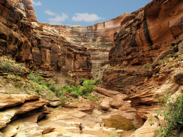 Best San Juan River Hikes | Grand Gulch_Tyler Williams