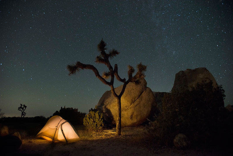 A tent illumniated by a light beneath a starry night sky in Joshua Tree National Park
