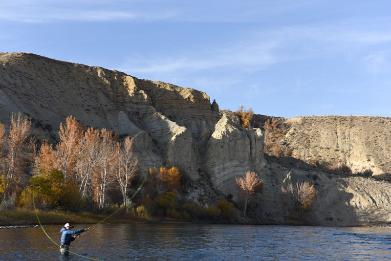 How to Fly Fish: Tips for Beginners
