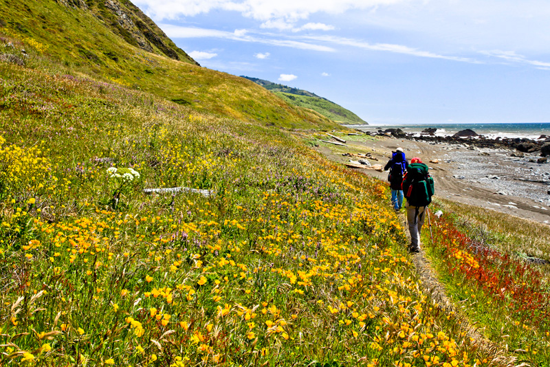 5 Adventurous Weekend Getaways in California