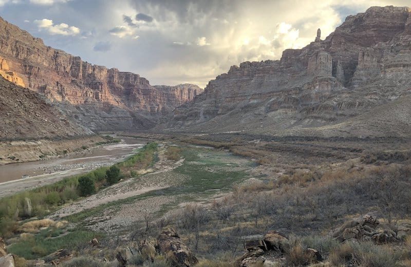 Gypsum Canyon Rapid in Cataract Canyon