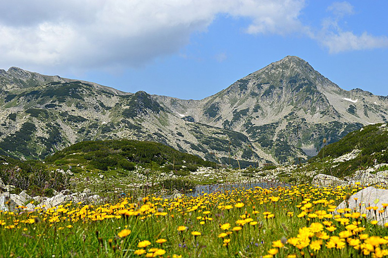 Must-visit World Heritage Sites for Adventurous Travelers | Pirin National Park