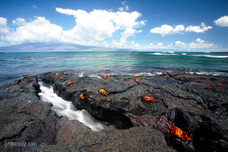 The Best Galápagos Books to Read Before You Go