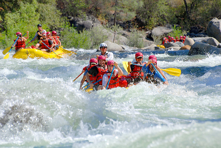 Tuolumne River Rafting | Ram's Head Rapid