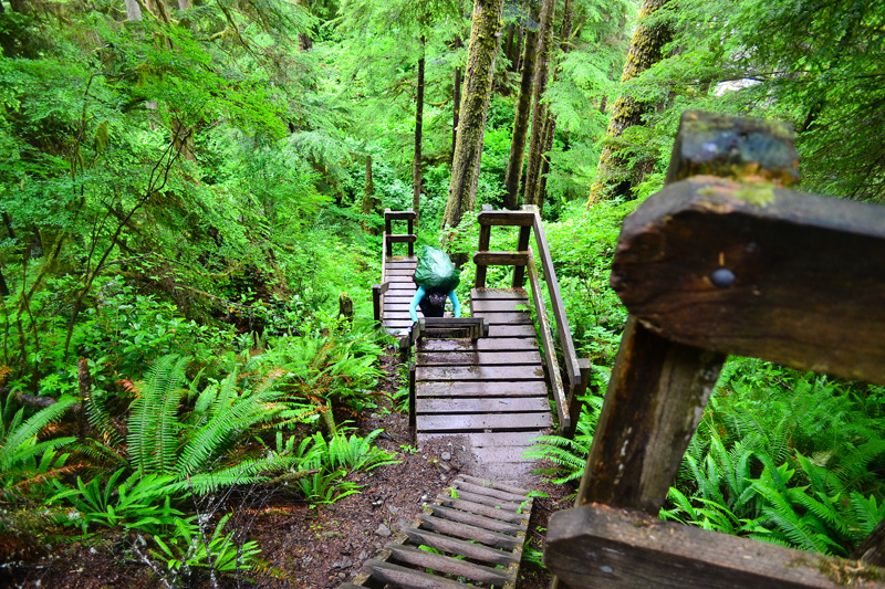 Hiking British Columbia's West Coast Trail