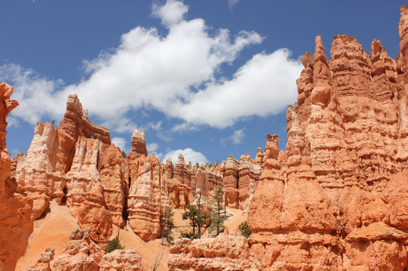 Hoodoos in Bryce Canyon on a Utah National Parks Road Trip from Salt Lake City to Moab