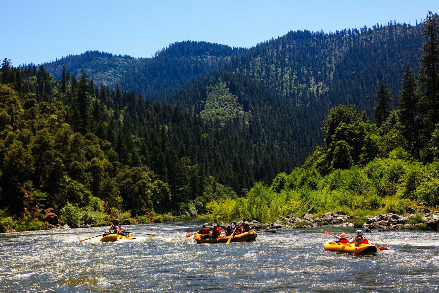 Klamath River Dam Removal: A Glimpse into the Future