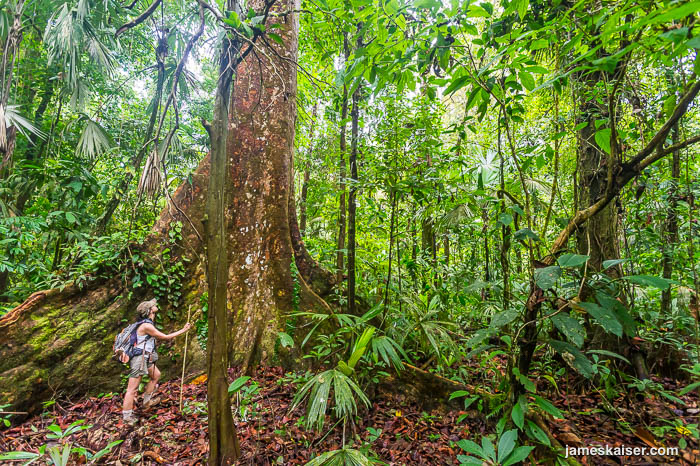 Top Adventures in Costa Rica - Corcovado National Park