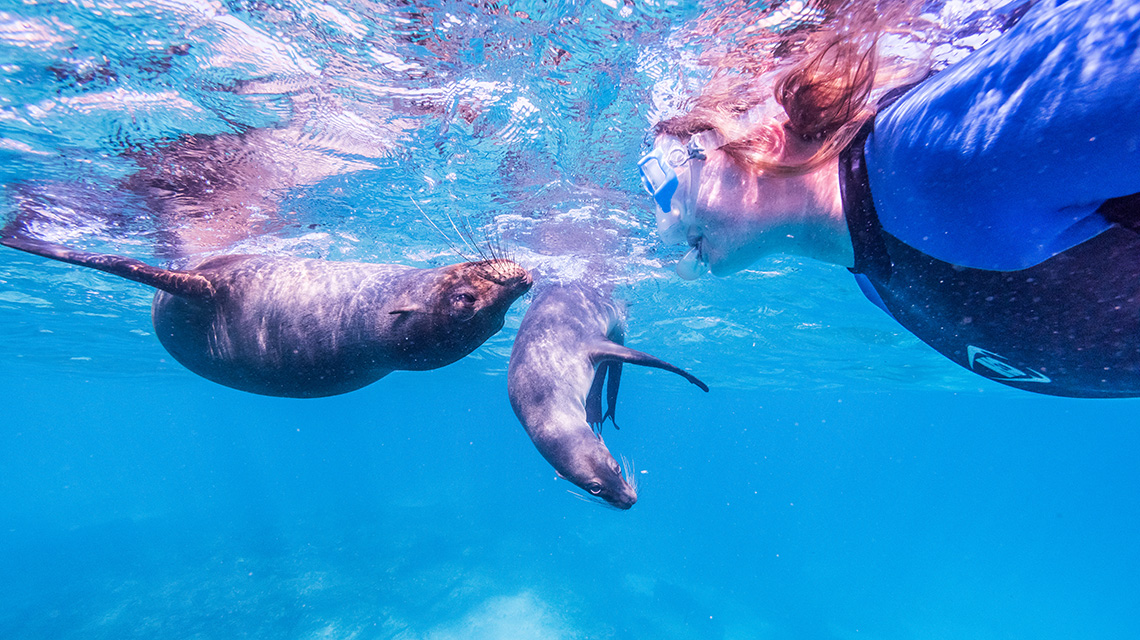 Top Family Adventure Vacations in the World | Islote Pitt, Galapagos