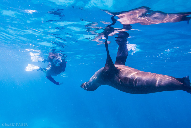 Must-visit World Heritage Sites for Adventurous Travelers | Galapagos Islands