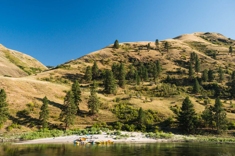Rafts parked on the banks of the Lower Salmon River with rolling hills dotted with pine trees in the background. 