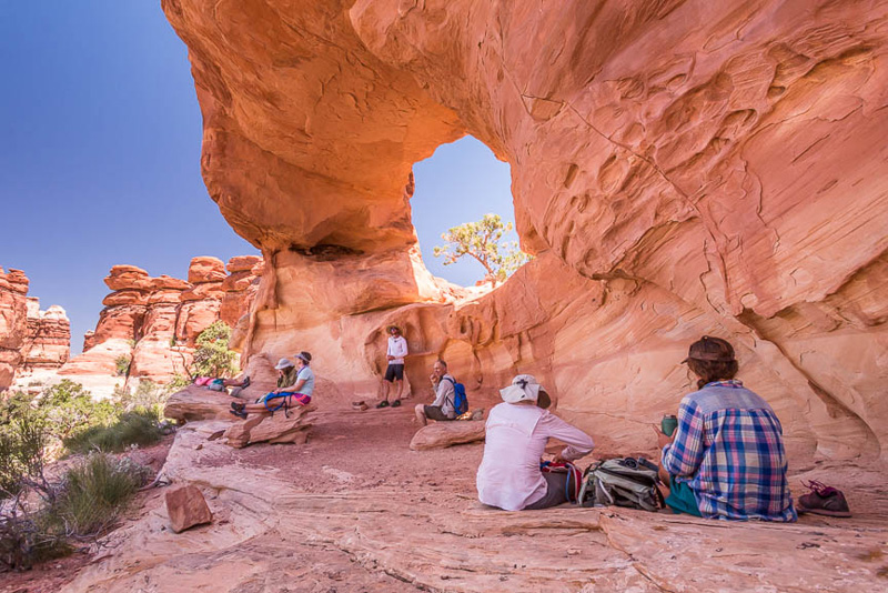 Catching some shade in Canyonlands National Park