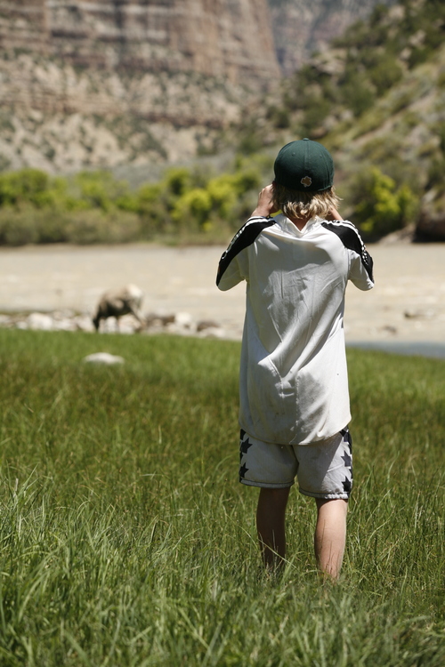Watching wildlife from afar in Dinosaur National Monument