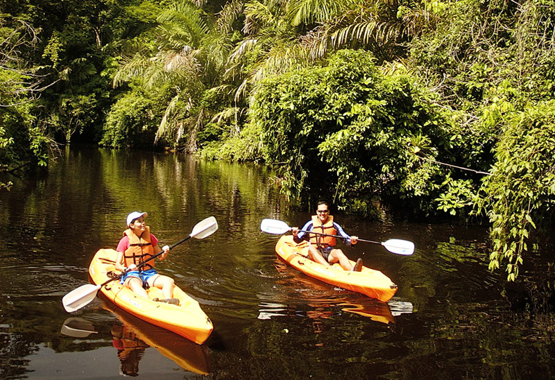 The Best Costa Rica Books to Read Before You Go…