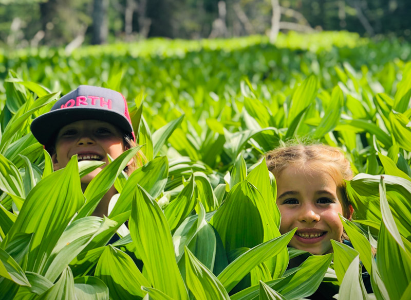 Pacific Northwest Family Vacation Ideas: Hood River